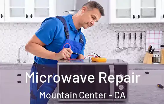  Microwave Repair Mountain Center - CA