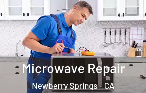  Microwave Repair Newberry Springs - CA