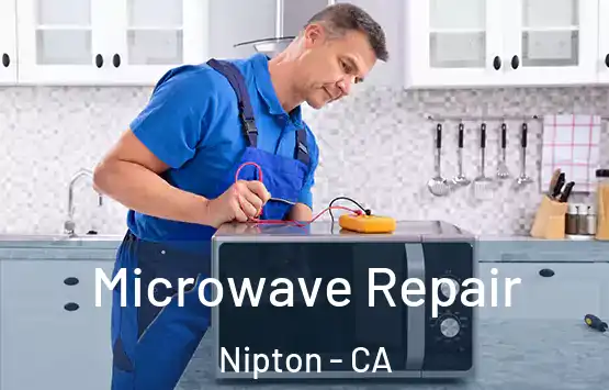  Microwave Repair Nipton - CA