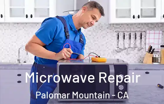  Microwave Repair Palomar Mountain - CA