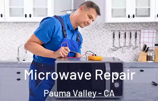 Microwave Repair Pauma Valley - CA