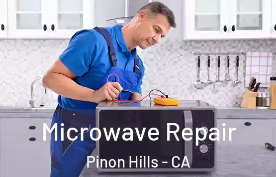  Microwave Repair Pinon Hills - CA