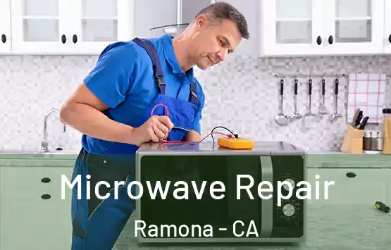  Microwave Repair Ramona - CA