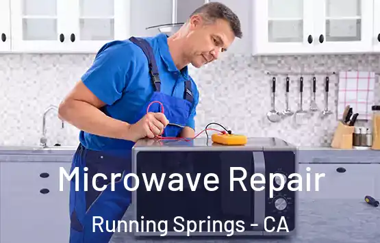  Microwave Repair Running Springs - CA