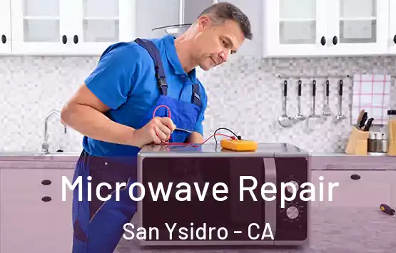  Microwave Repair San Ysidro - CA
