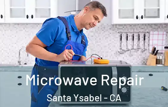  Microwave Repair Santa Ysabel - CA
