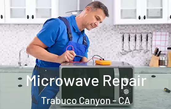  Microwave Repair Trabuco Canyon - CA