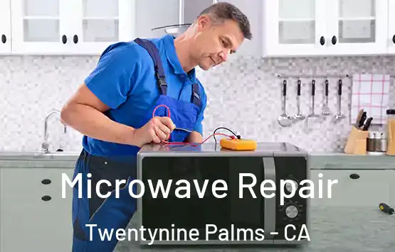  Microwave Repair Twentynine Palms - CA
