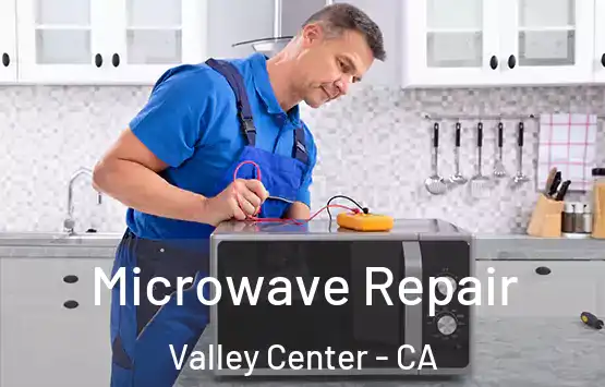  Microwave Repair Valley Center - CA