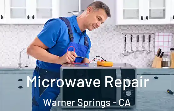  Microwave Repair Warner Springs - CA