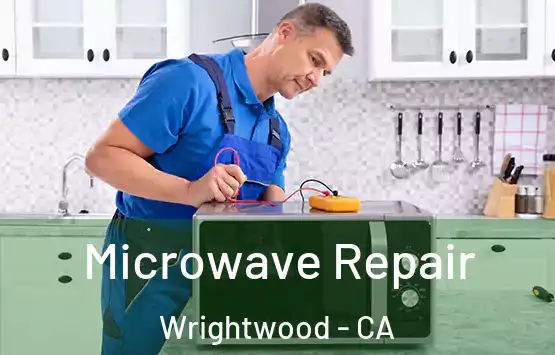  Microwave Repair Wrightwood - CA