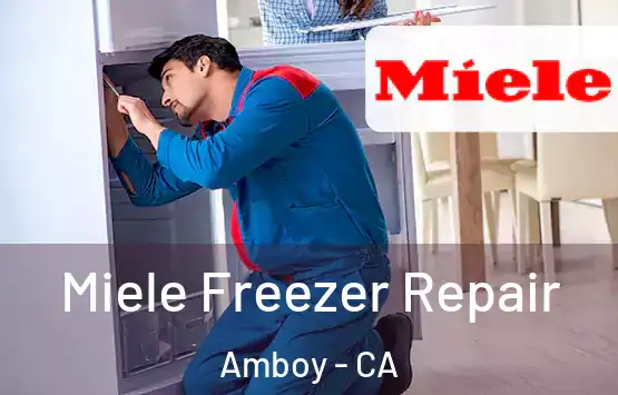  Miele Freezer Repair Amboy - CA