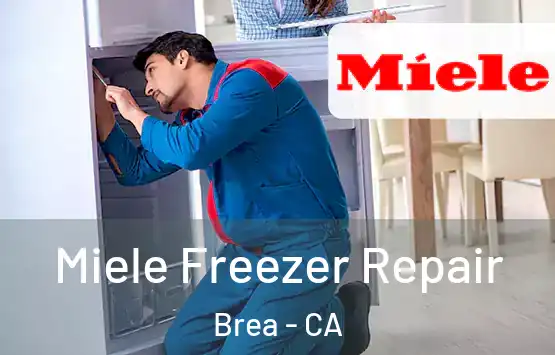  Miele Freezer Repair Brea - CA