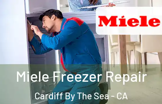  Miele Freezer Repair Cardiff By The Sea - CA
