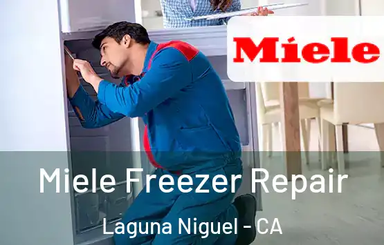  Miele Freezer Repair Laguna Niguel - CA