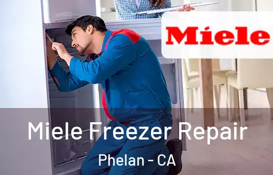  Miele Freezer Repair Phelan - CA