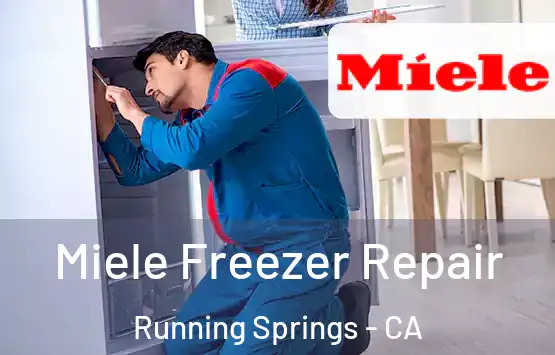  Miele Freezer Repair Running Springs - CA