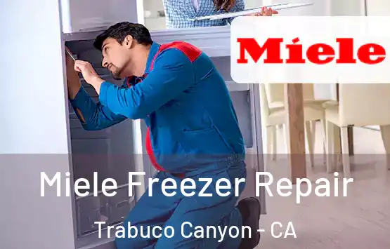  Miele Freezer Repair Trabuco Canyon - CA