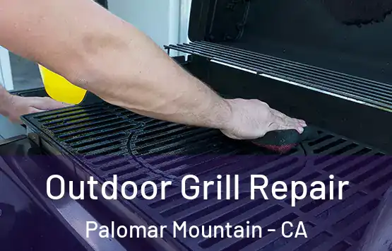 Outdoor Grill Repair Palomar Mountain - CA