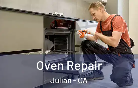  Oven Repair Julian - CA