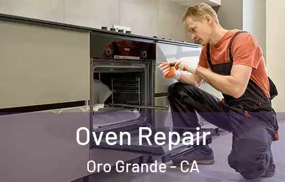  Oven Repair Oro Grande - CA