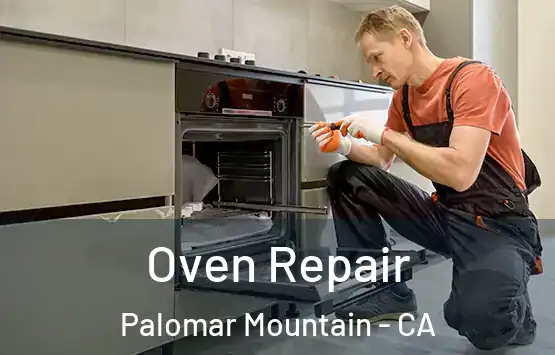  Oven Repair Palomar Mountain - CA