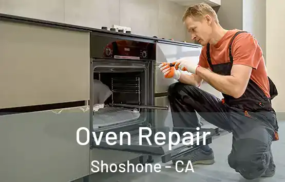  Oven Repair Shoshone - CA