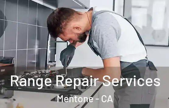  Range Repair Services Mentone - CA