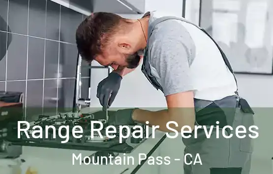 Range Repair Services Mountain Pass - CA