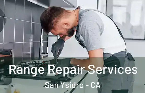  Range Repair Services San Ysidro - CA