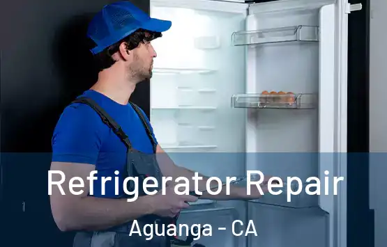  Refrigerator Repair Aguanga - CA