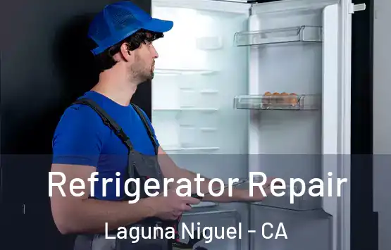  Refrigerator Repair Laguna Niguel - CA