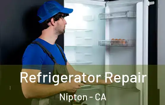  Refrigerator Repair Nipton - CA
