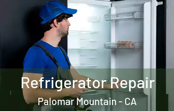  Refrigerator Repair Palomar Mountain - CA