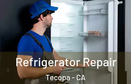  Refrigerator Repair Tecopa - CA