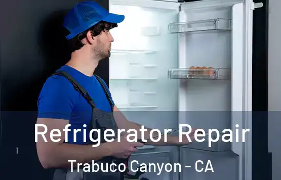  Refrigerator Repair Trabuco Canyon - CA