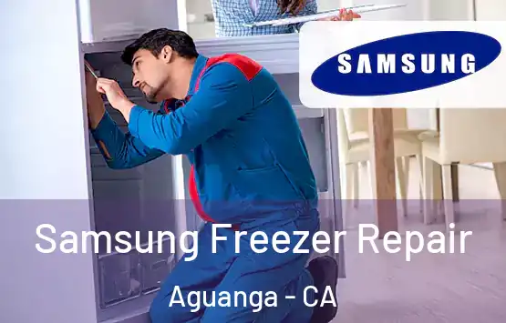  Samsung Freezer Repair Aguanga - CA