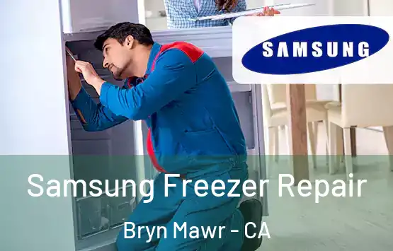  Samsung Freezer Repair Bryn Mawr - CA