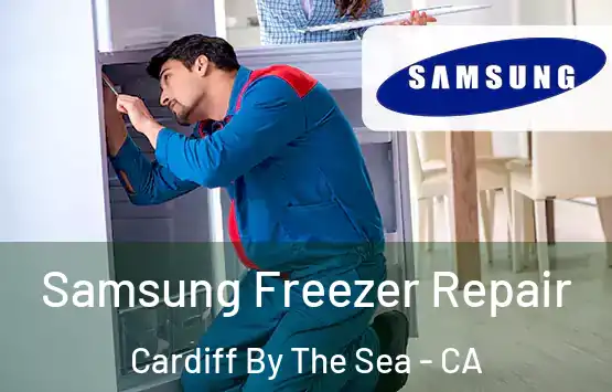  Samsung Freezer Repair Cardiff By The Sea - CA