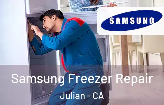  Samsung Freezer Repair Julian - CA