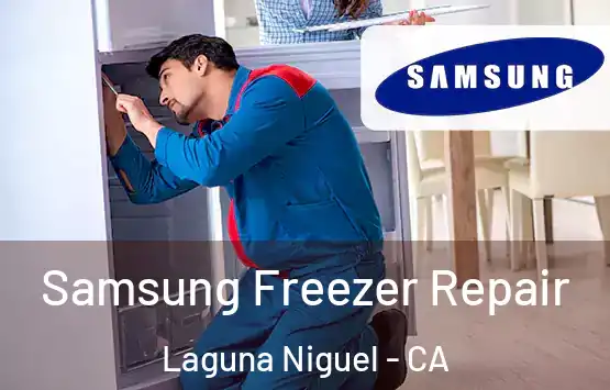  Samsung Freezer Repair Laguna Niguel - CA