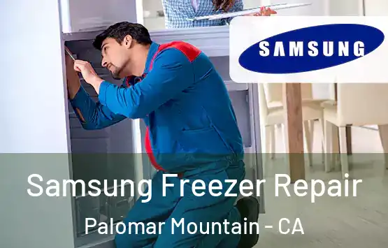  Samsung Freezer Repair Palomar Mountain - CA