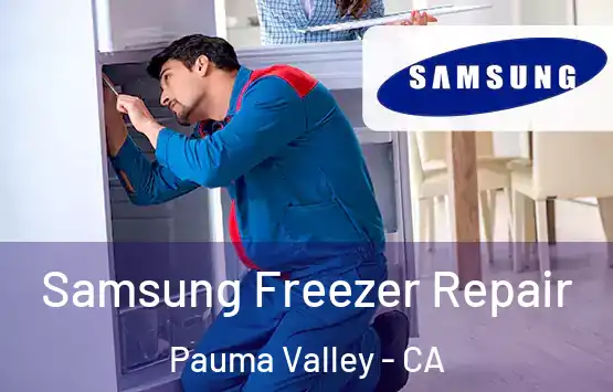  Samsung Freezer Repair Pauma Valley - CA