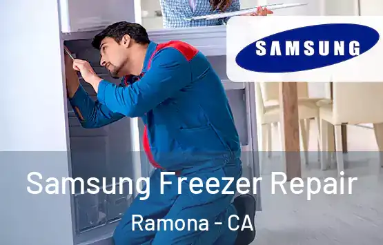  Samsung Freezer Repair Ramona - CA