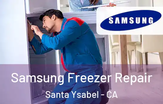  Samsung Freezer Repair Santa Ysabel - CA