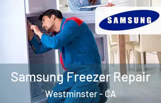 Samsung Freezer Repair Westminster - CA