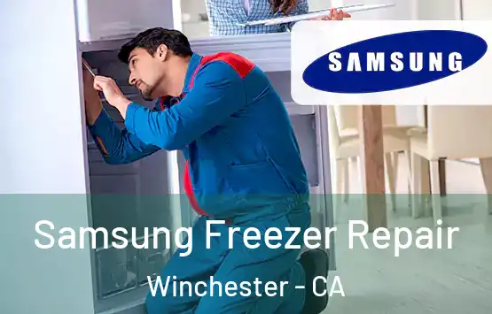  Samsung Freezer Repair Winchester - CA