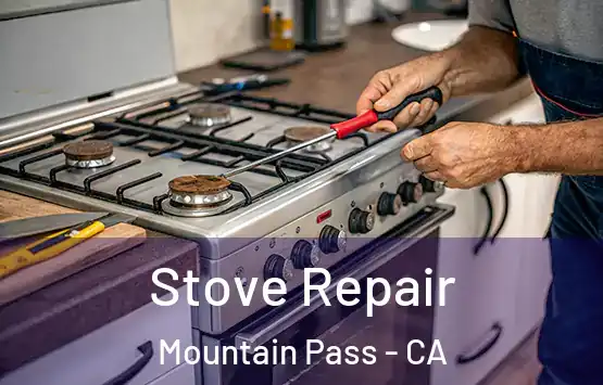  Stove Repair Mountain Pass - CA