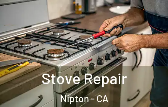  Stove Repair Nipton - CA