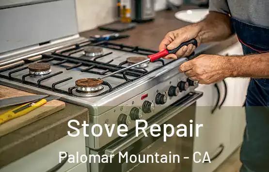  Stove Repair Palomar Mountain - CA